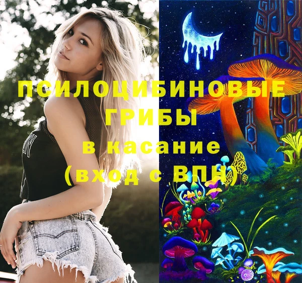 прущие грибы Абдулино